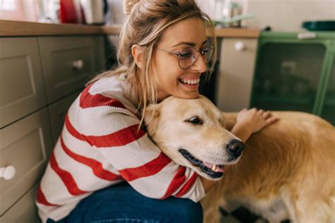 Best dog for apartments: These 7 dog breeds make great indoor dogs.