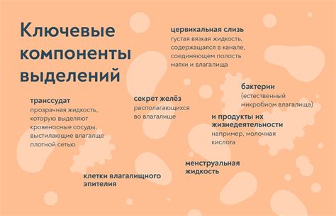 Фото Влагалища И Их — Фото