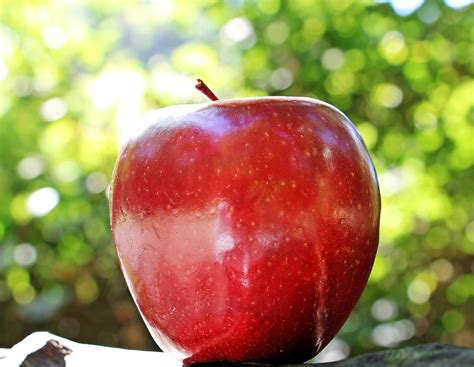 400,000+ Free Background Apple 🍎 & Apple Images - Pixabay