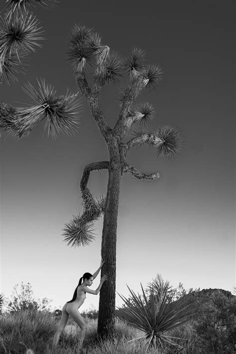 JTree exploits - self shot earlier this spring, 2022 : r/PranaMachine