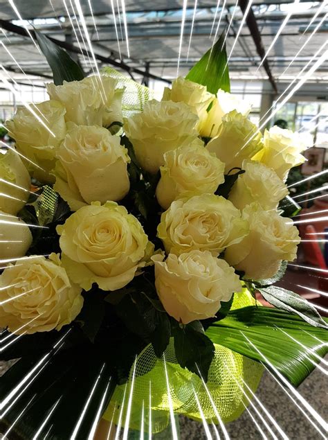 Floricoltura Maddii - Buongiorno! | Facebook