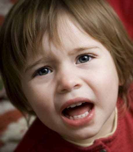 Why Whining is a Win! ~ Here’s a shocker for you: Whining is actually a ...