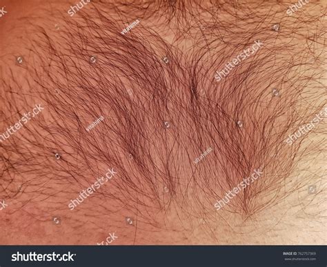 53 Men Trimming Chest Trimmer Images, Stock Photos & Vectors | Shutterstock