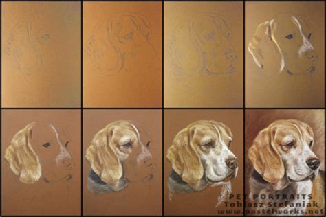 Beagle Portrait Step By Step - Pastelworks.net