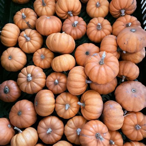 The Community Table, Eau Claire | Eau Claire WI