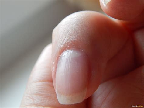 Отзыв про Средство для удаления кутикулы LCN Cuticle Softener ...
