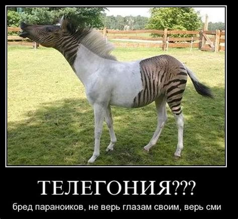 Телегония — Блог Андрейко Алёны