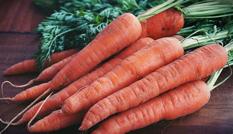 close  photography  orange carrots  stock photo