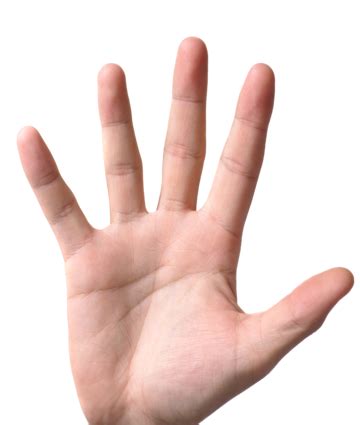 number  hand gesture   plain  finger part png transparent