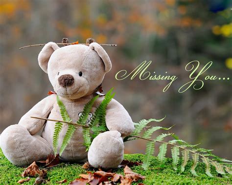 11+ Wallpaper Cute Bear