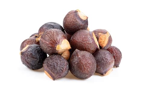 soap nut pictures page