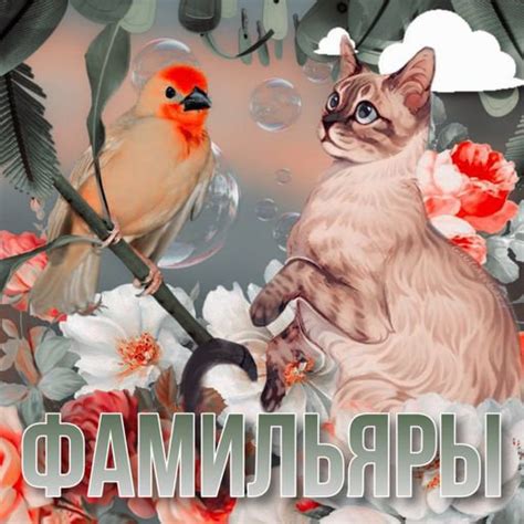 Фамильяры | Wiki | Академия Амарин ролевая Amino