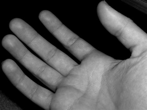 on the one hand... 2 Free Photo Download | FreeImages