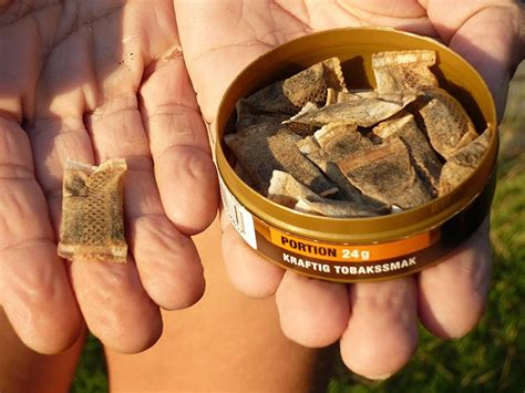 snus cancer risk  side effects pancreatic oral