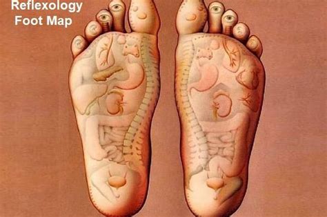 Inilah Gambar Titik Refleksi Kaki Kiri dan Kanan untuk Pengobatan ...