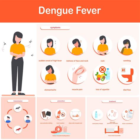 ilustración vectorial infografía síntomas de la fiebre del dengue
