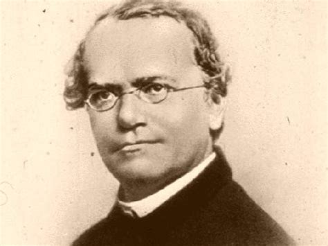 Mendel's Trick | Podcasts | Naked Scientists