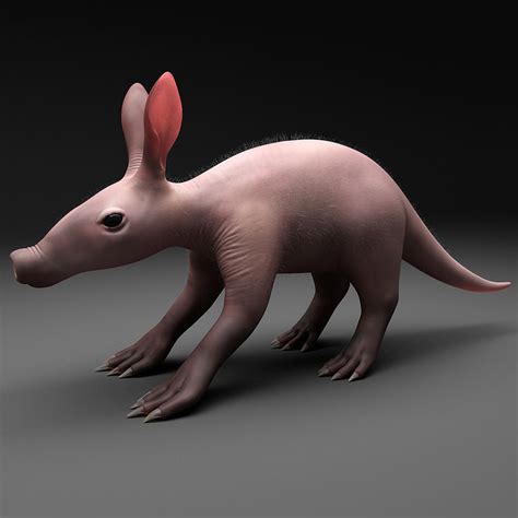 3dsmax baby aardvark