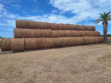R Farm | San Antonio TX