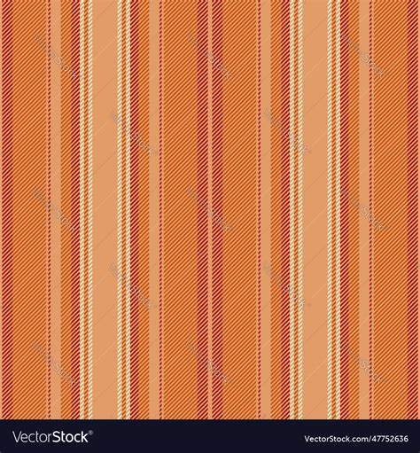 lines vertical  textile fabric seamless vector image