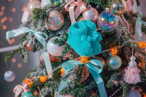 images branch holiday child decor  year christmas tree