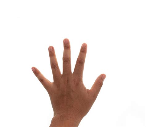 hand  stock photo  vecteezy