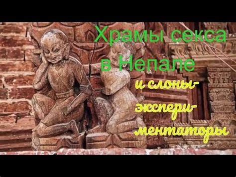 Храмы секса в Непале и слоны-экспериментаторы - YouTube