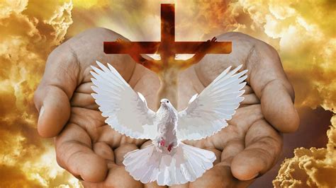 trinity explained     understand christian wake  call