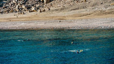 Egypt Red Sea Snorkeling in Water Stock Photo - Image of person, marine ...