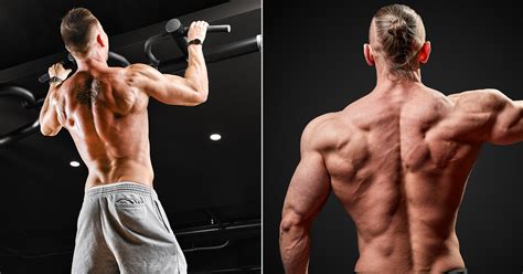 Best Calisthenics Workout For Back | EOUA Blog