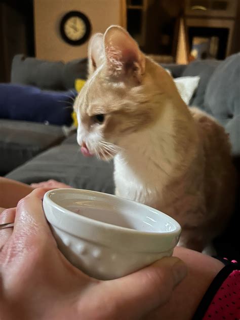 Over due to share my strawberry ice cream! : r/seriouseats