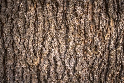 Background Wood Texture Free Stock Photo - Public Domain Pictures