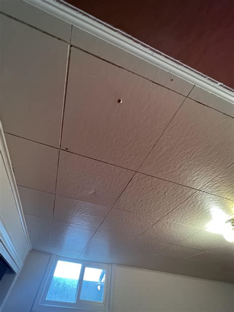 Asbestos Drop Ceiling Tiles