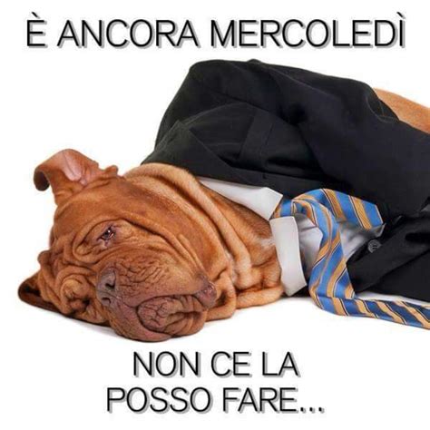 176+ Buon Mercoledì e Buongiorno a tutti - Pagina 5 di 18 ...