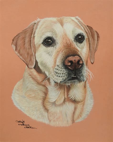 Лабрадор рисунок (Много фото в статье) - drawpics.ru