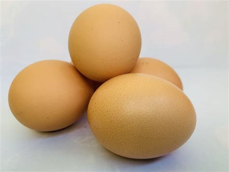 Egg Protein Food - Free photo on Pixabay