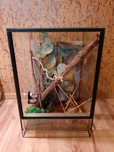 Terrarium 40×40x50 + 3 gekony płaczące | Wrocław | Kup teraz na Allegro ...