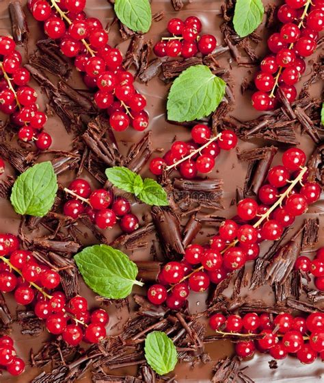 Red currant and mint stock photo. Image of interiors - 28527058
