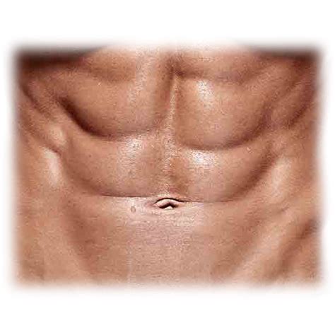 6 Pack Abs, Fitness Goals, Nutrition Plan, Body Transformation, Muscle ...