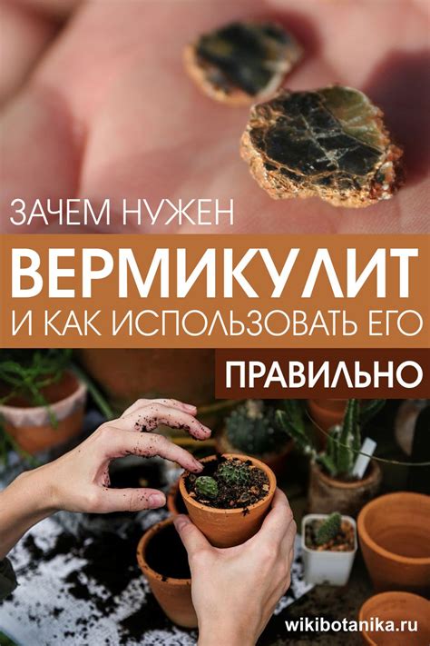 Зачем нужен вермикулит и как использовать его правильно | Растения, Сад ...