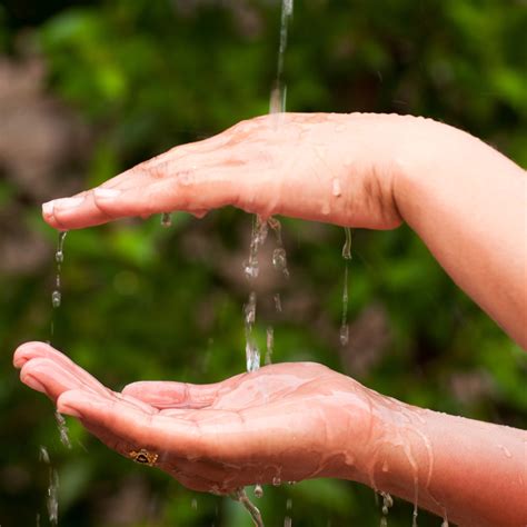 stay water wise pbr plumbing