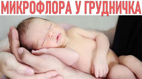 МИКРОФЛОРА У ГРУДНИЧКА | Лакто и бифидобактерии для новорожденных | Как ...