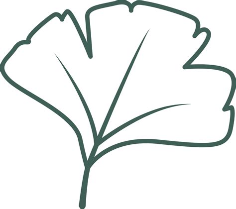 hand draw leaf 24167724 PNG
