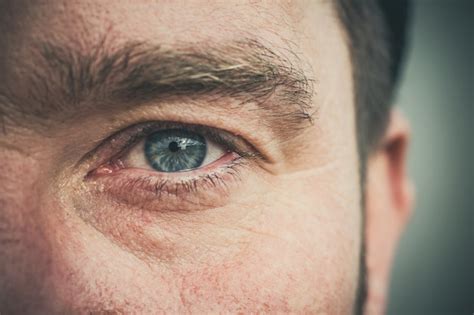 premium photo male beautiful gray eye close