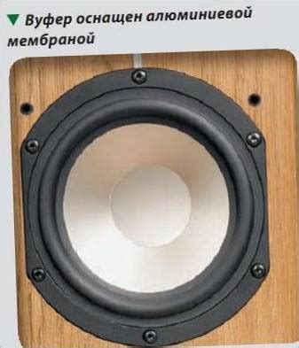 ASW Cantius 504 yer tipi hoparlörün test edilmesi