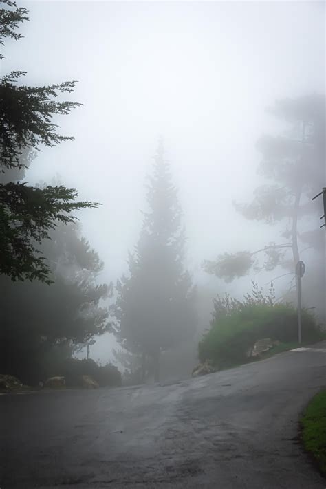 A Foggy Day : r/photographs