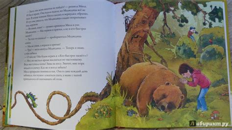 Книга: Осенняя сказка про Медведицу - Ларс Рудебьер. Купить книгу ...
