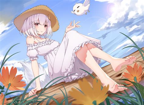 aluo  straw hat sitting outdoors  bird hd wallpaper rare gallery