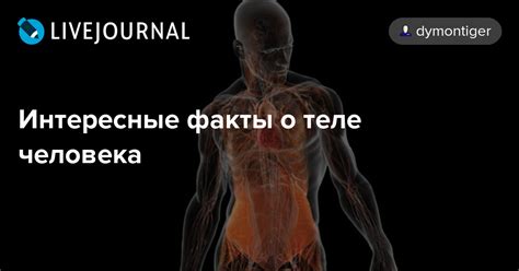 Интересные факты о теле человека: dymontiger — LiveJournal