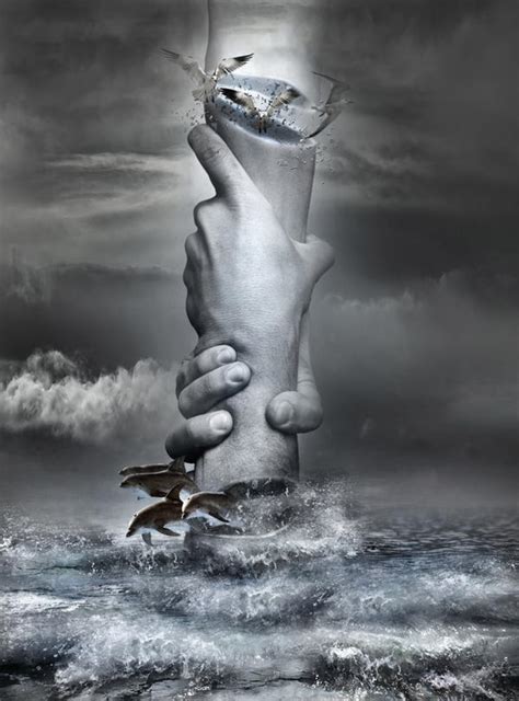 Born To Be Free by oneoftheclan on DeviantArt